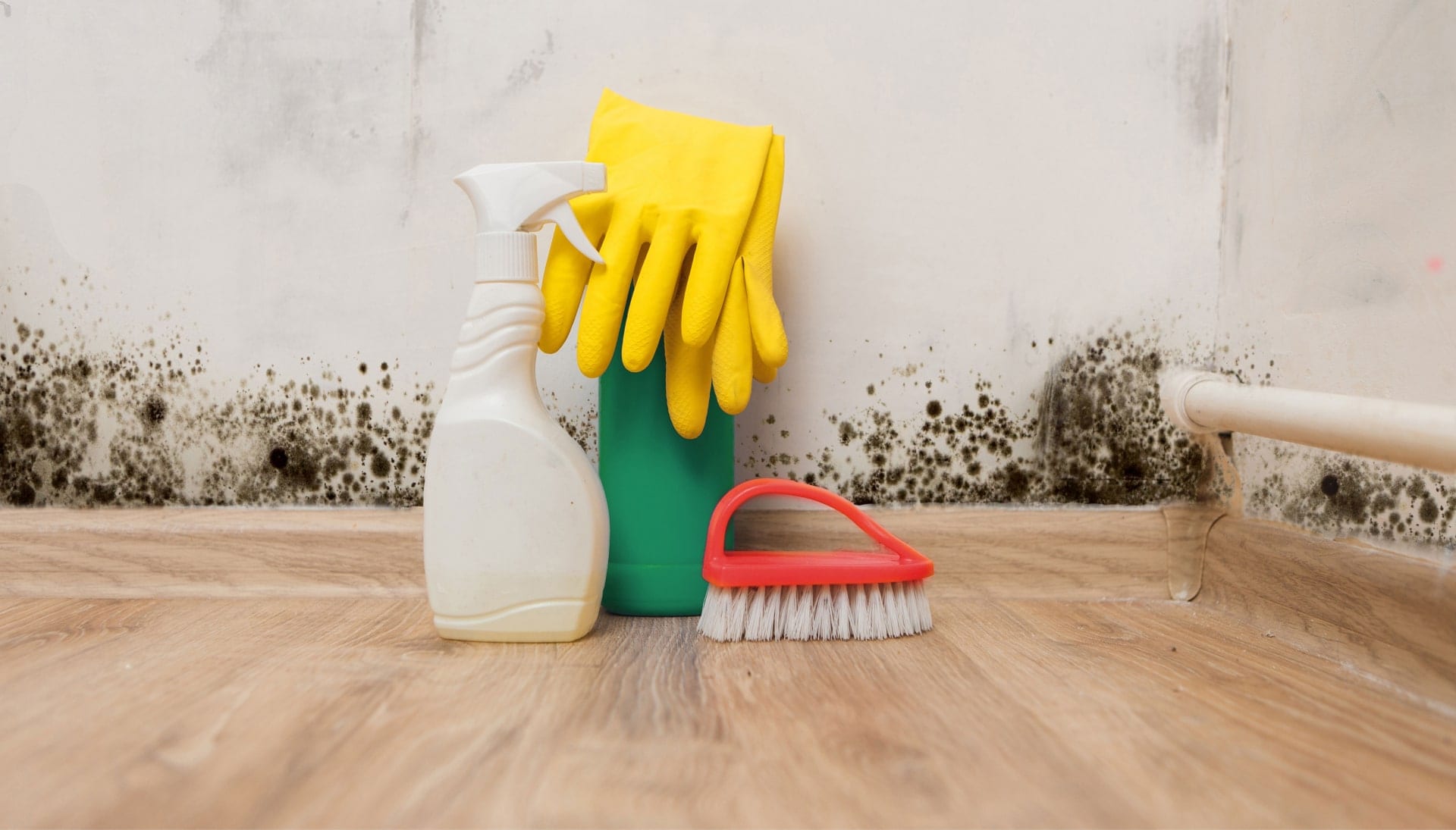 Mold removal cleaning supplies.