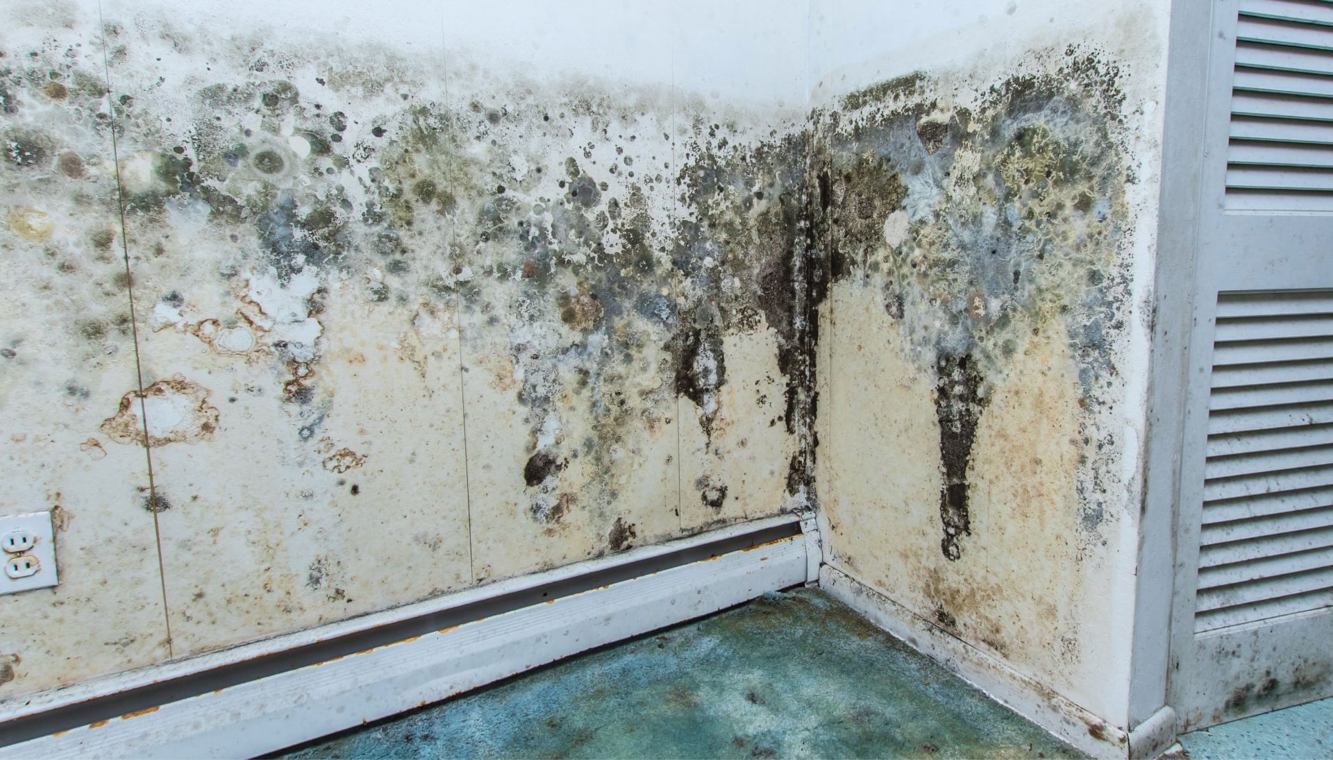 Black mold forming on walls.