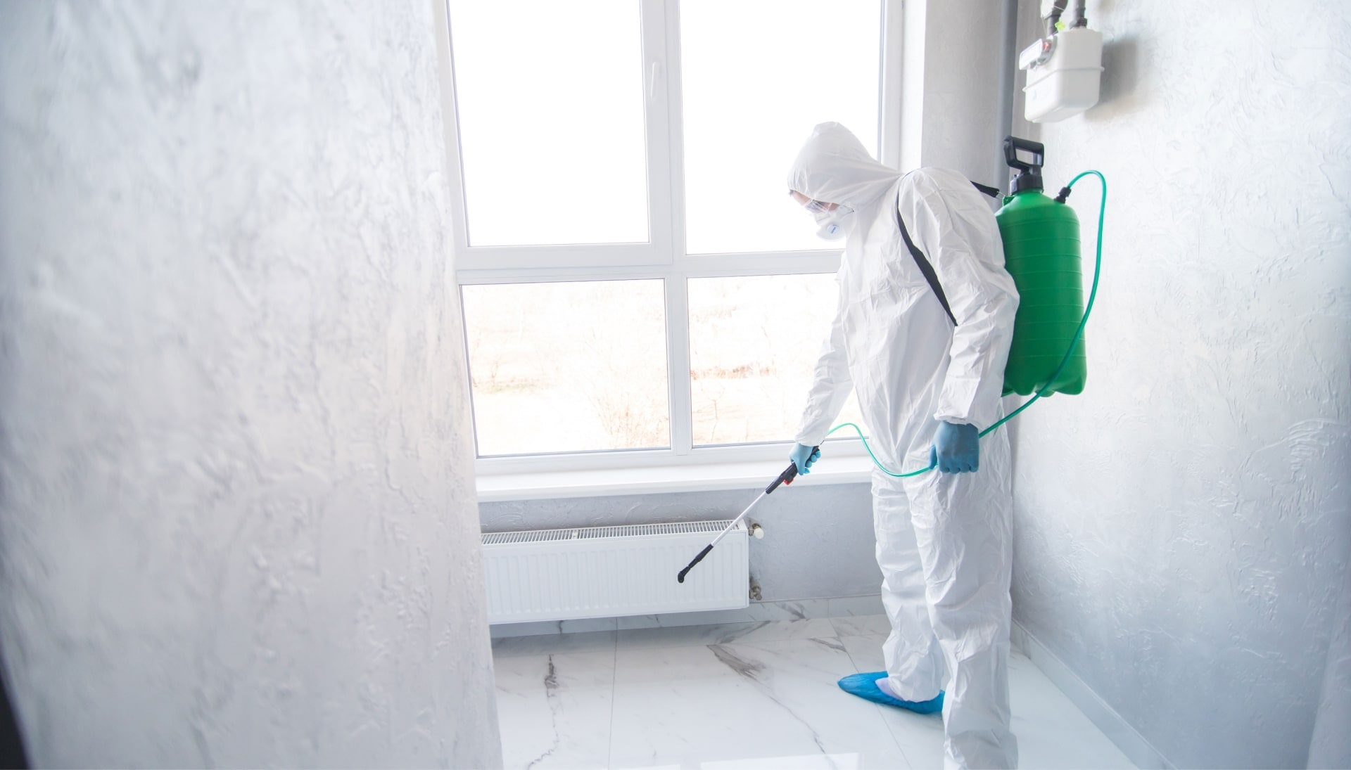 Mold removal technician spraying chemical.